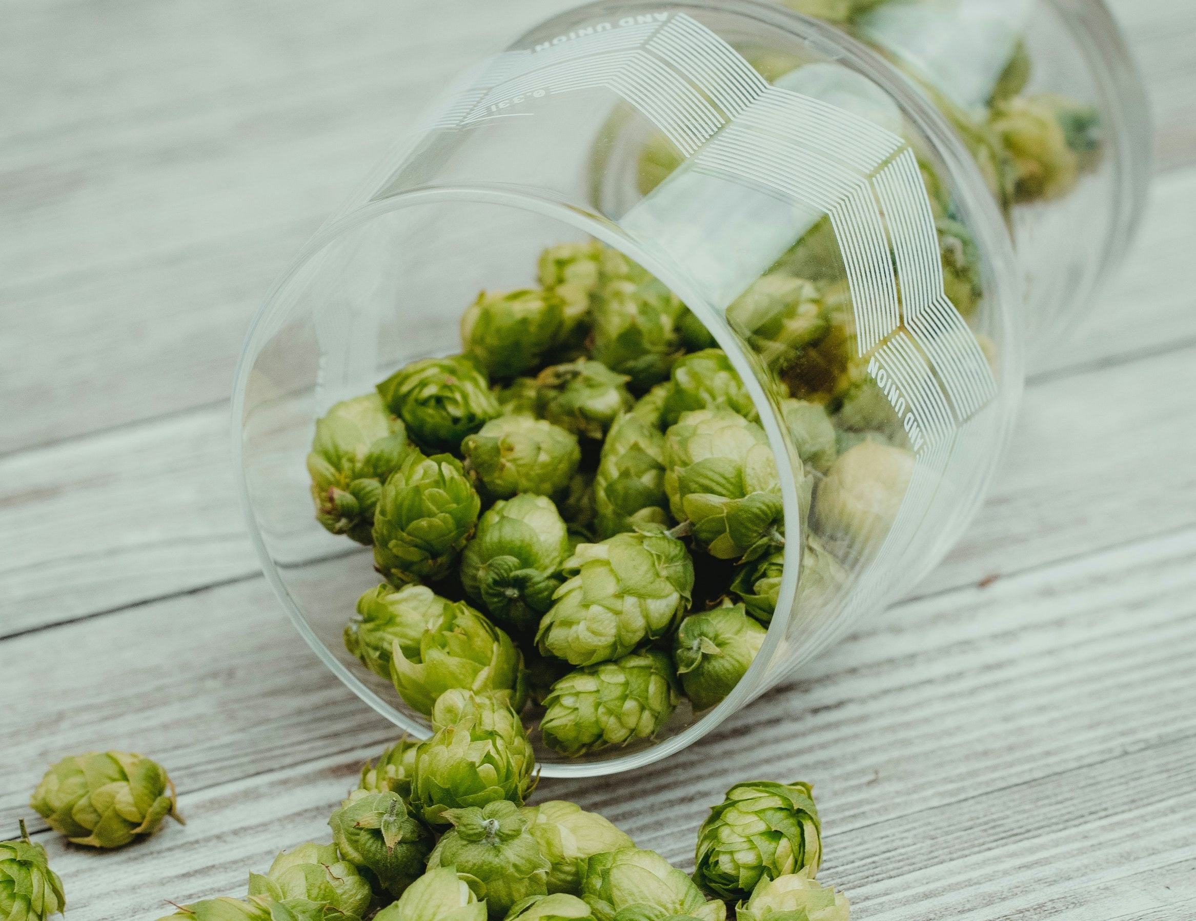 10 Plants That Smell Like Weed