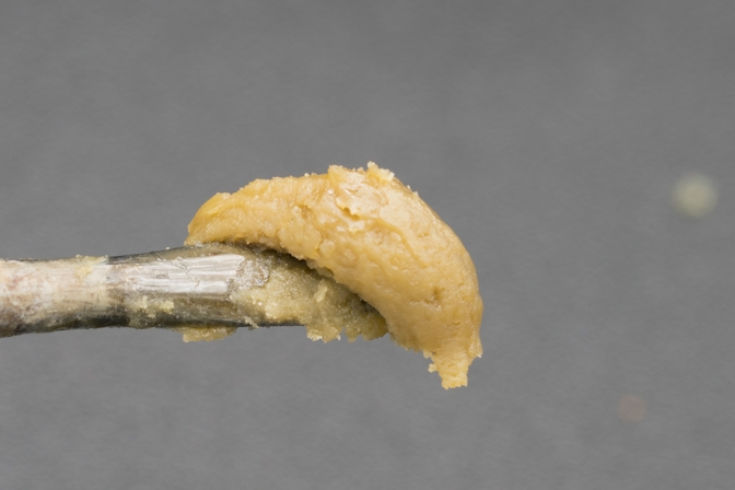 What Is Hash Rosin? Everything You Need To Know