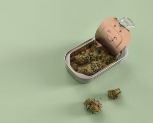 15 Smart Ways To Stash Your Weed At Home