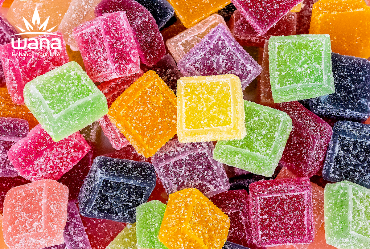 These Are The Best THC Gummies For Edible Lovers Vancity Herbs