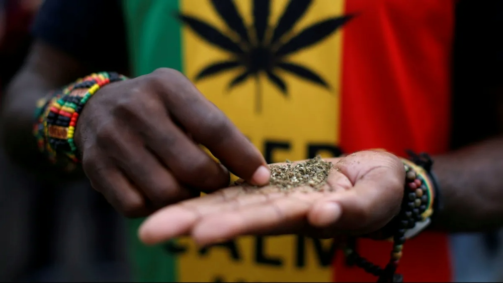10 Countries With The Best Weed In The World 2023