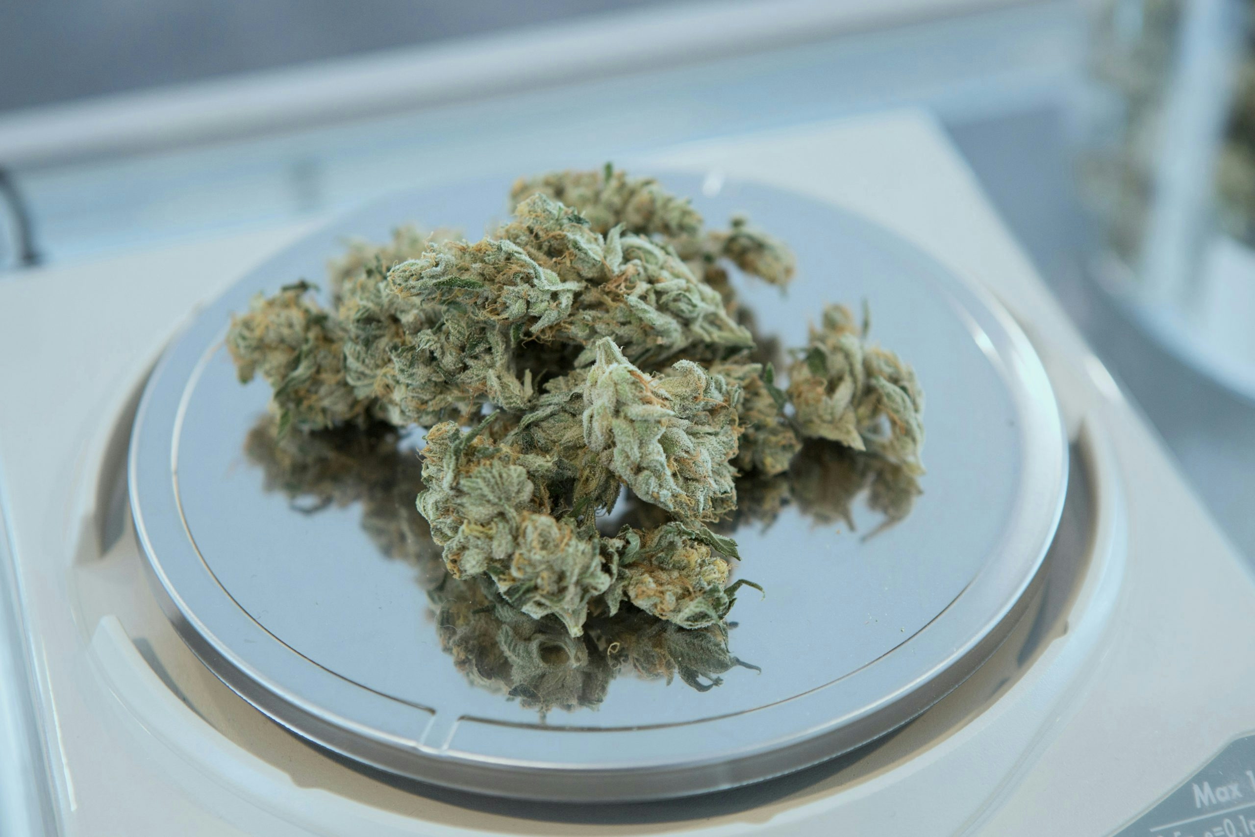 Weed Measurements: Weights, Quantities, And Prices Explained