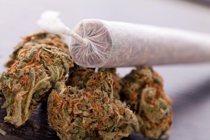 What Happens When You Mix Cannabis And Tobacco?