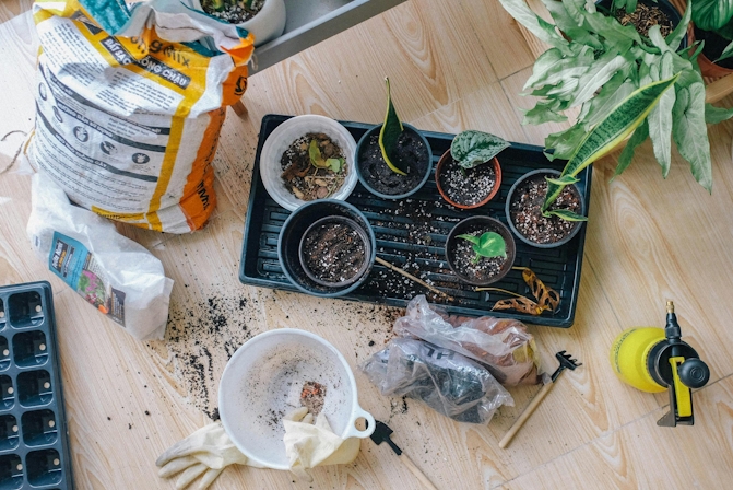 How To Choose The Best Growing Medium For Cannabis Plants