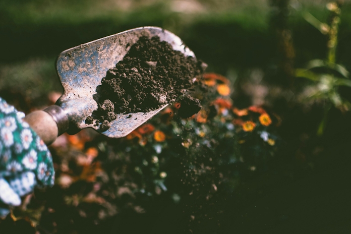 How To Choose The Best Growing Medium For Cannabis Plants
