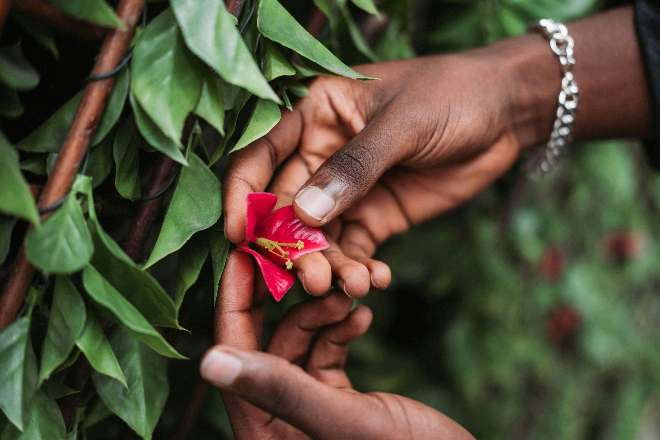 How to Use Your Senses to Determine Quality Cannabis