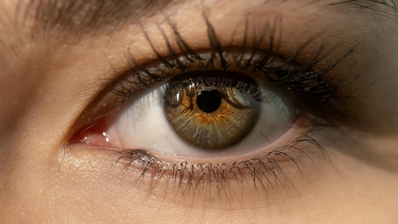 How to Use Your Senses to Determine Quality Cannabis
