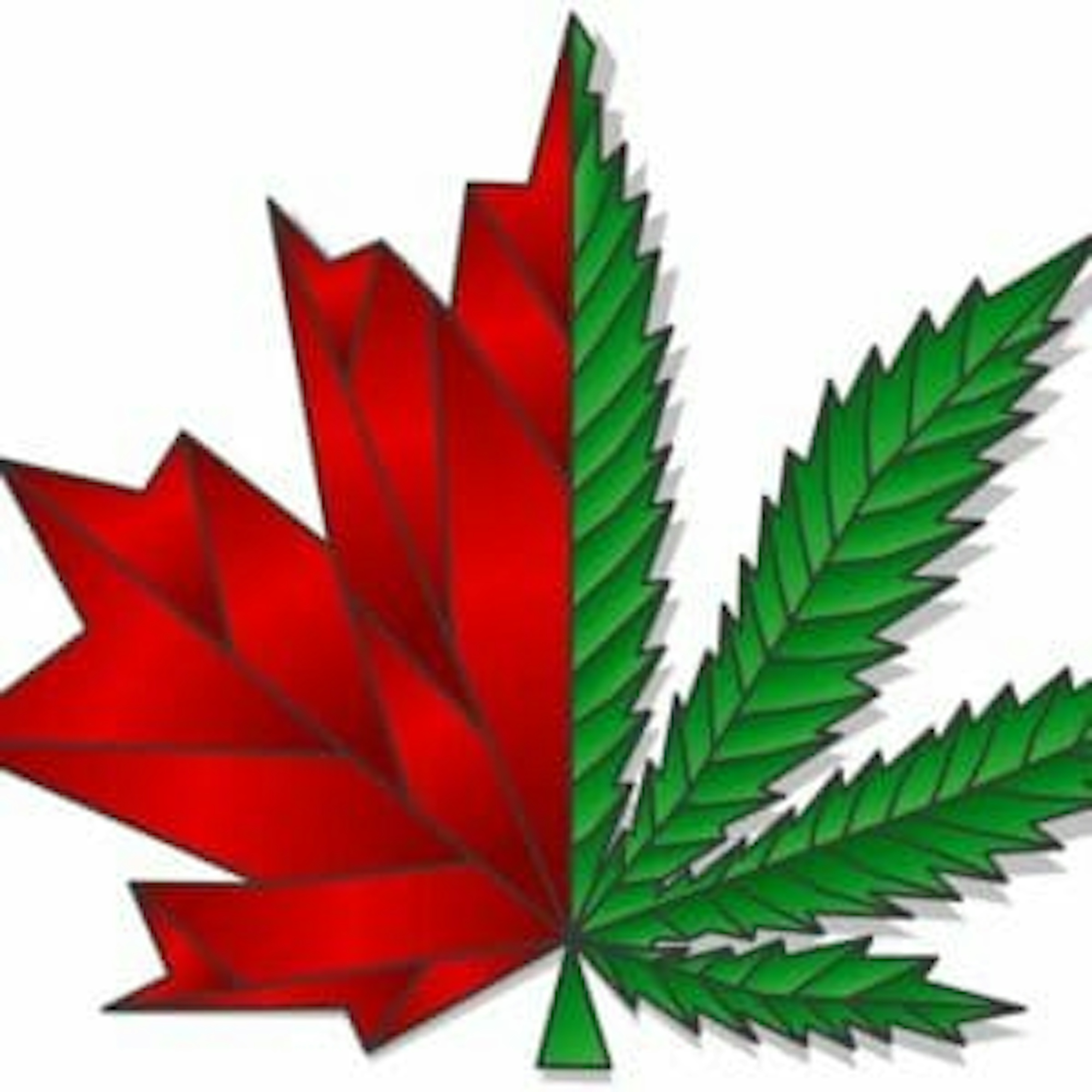 Downtown Cannabis | Herb