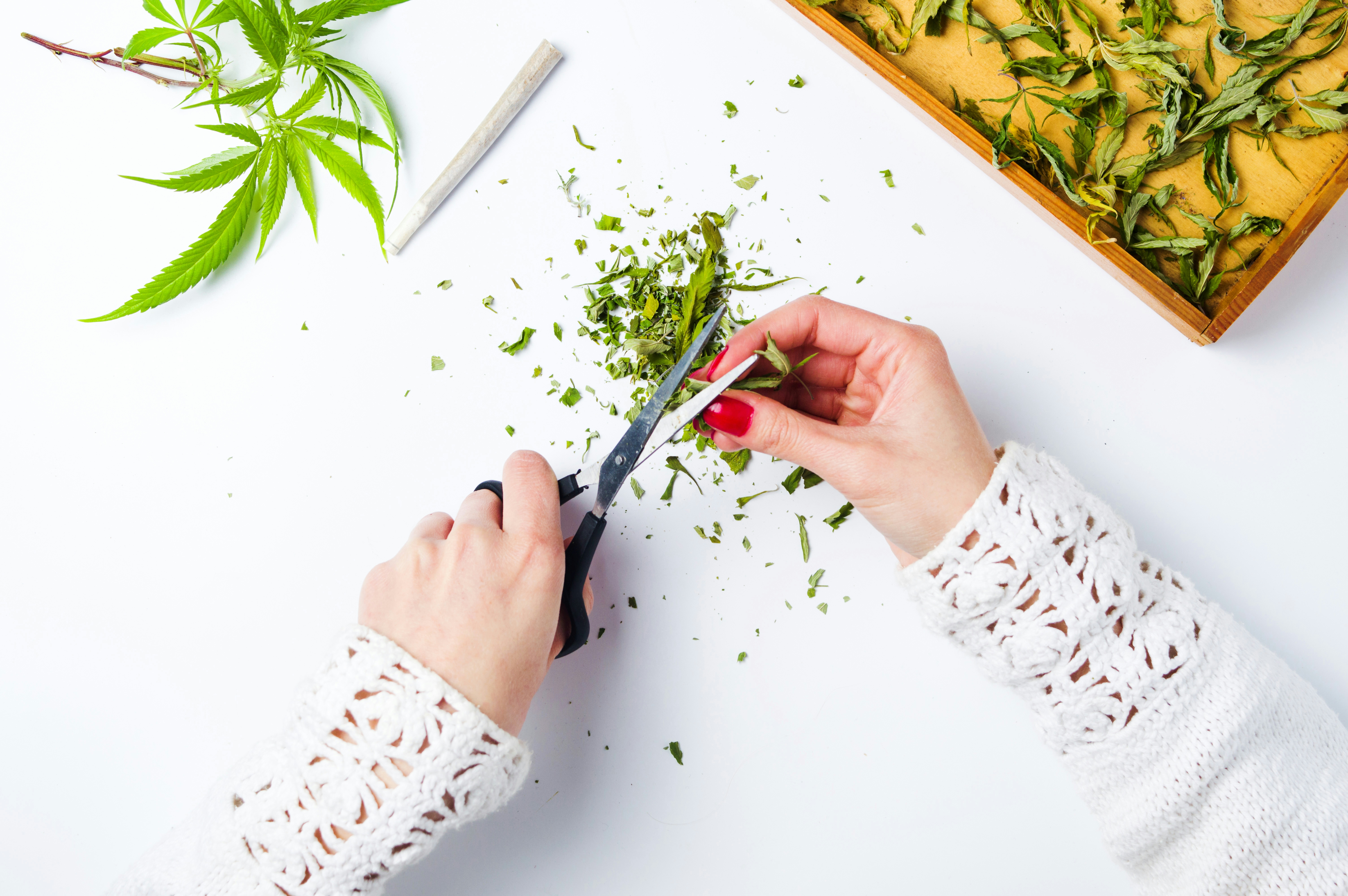 HØJ KLIP Review: This Grinder Makes Your Weed Stronger