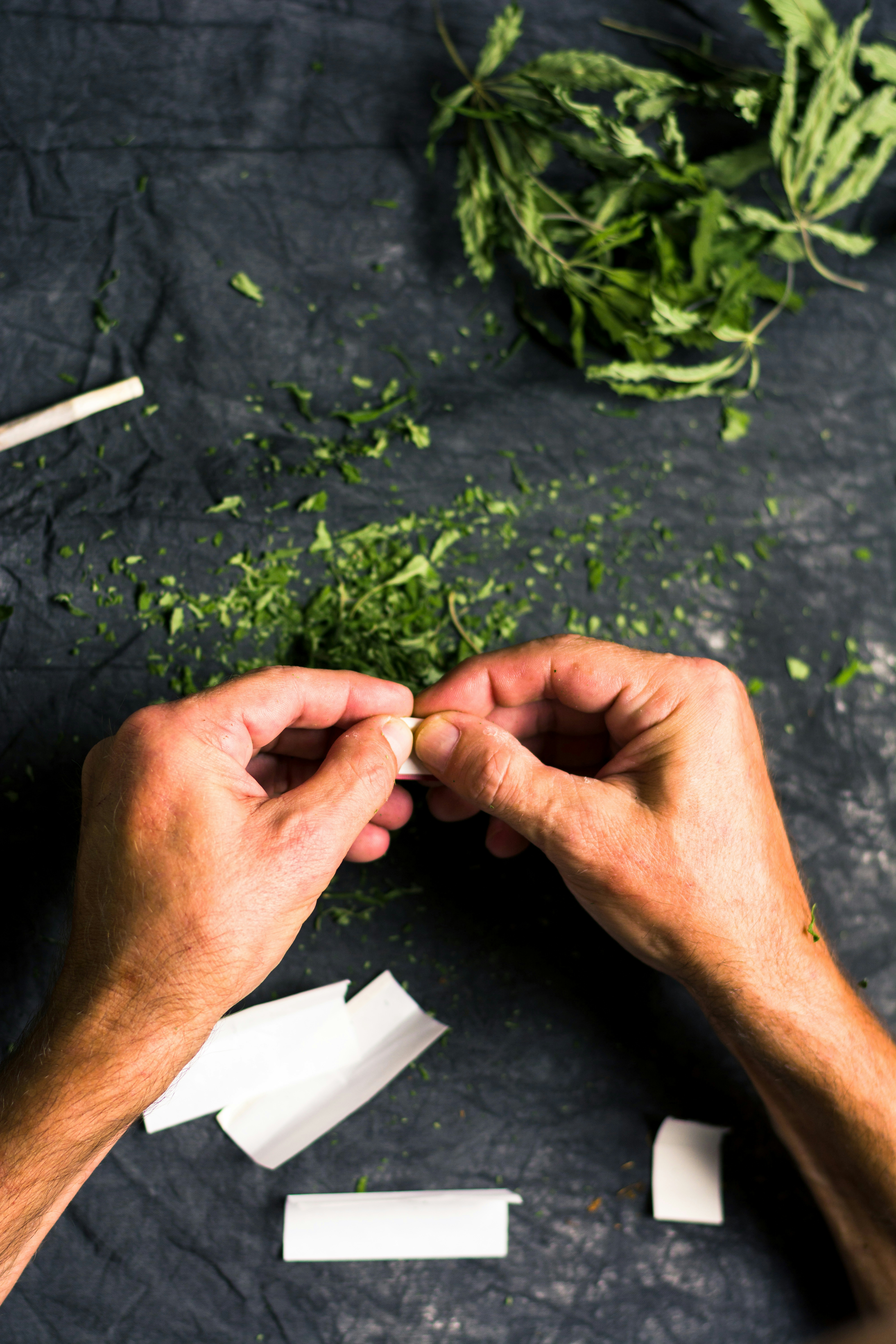 HØJ KLIP Review: This Grinder Makes Your Weed Stronger