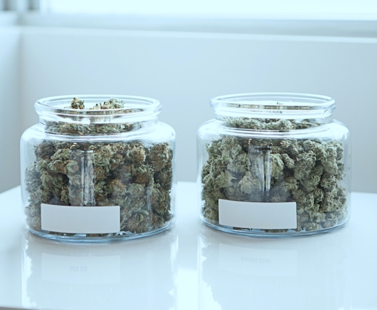 Herb’s Guide To The Best Things To Do On 420