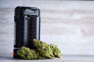 The Best Dry Herb Portable Vaporizers Of 2024