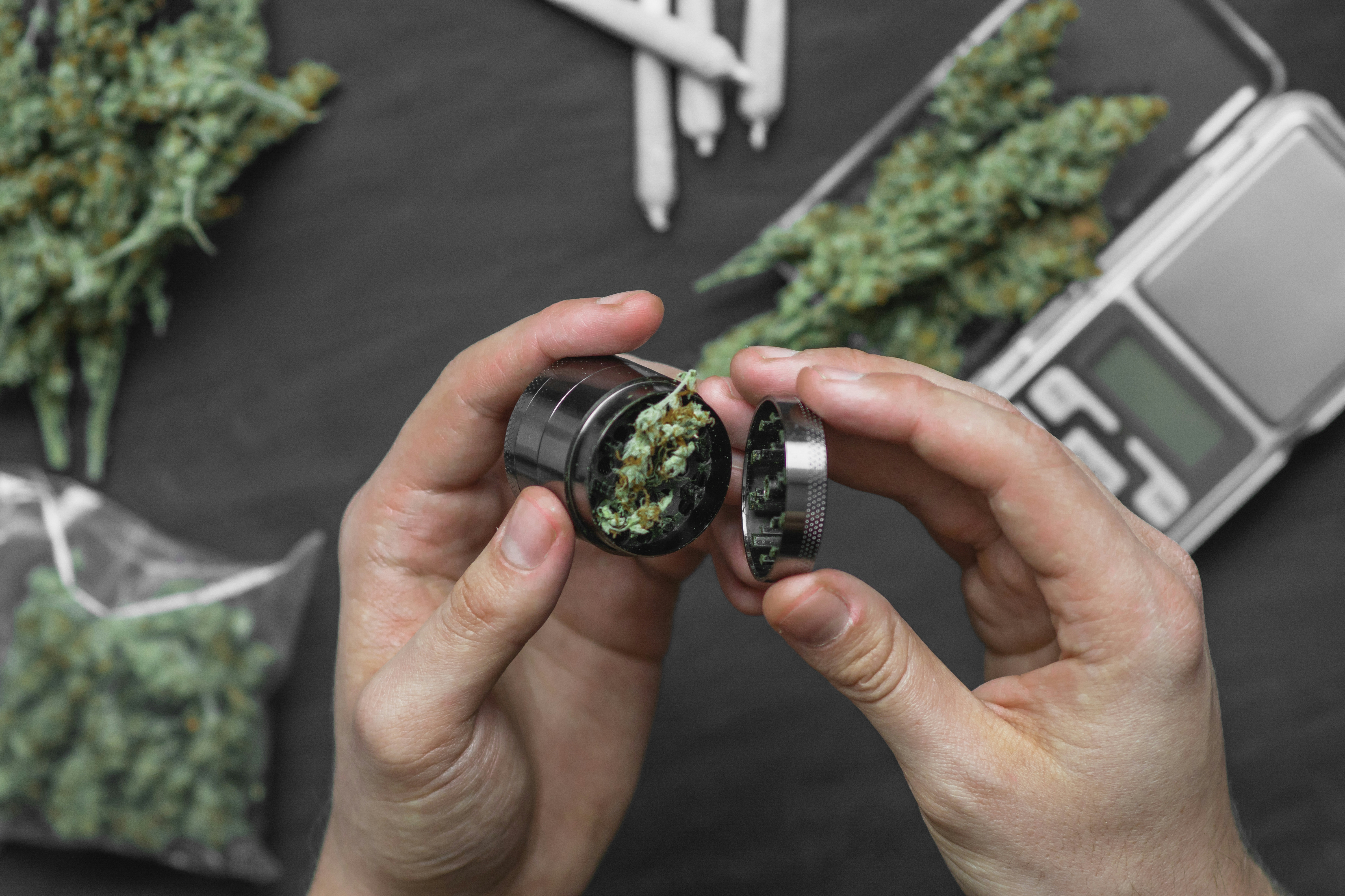 best weed grinders