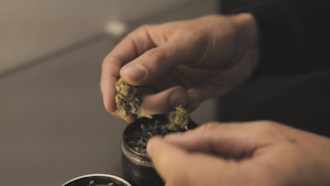 Grinding Your Weed Before Cooking: What To Do