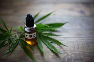 The Best CBD Oils To Buy In 2023