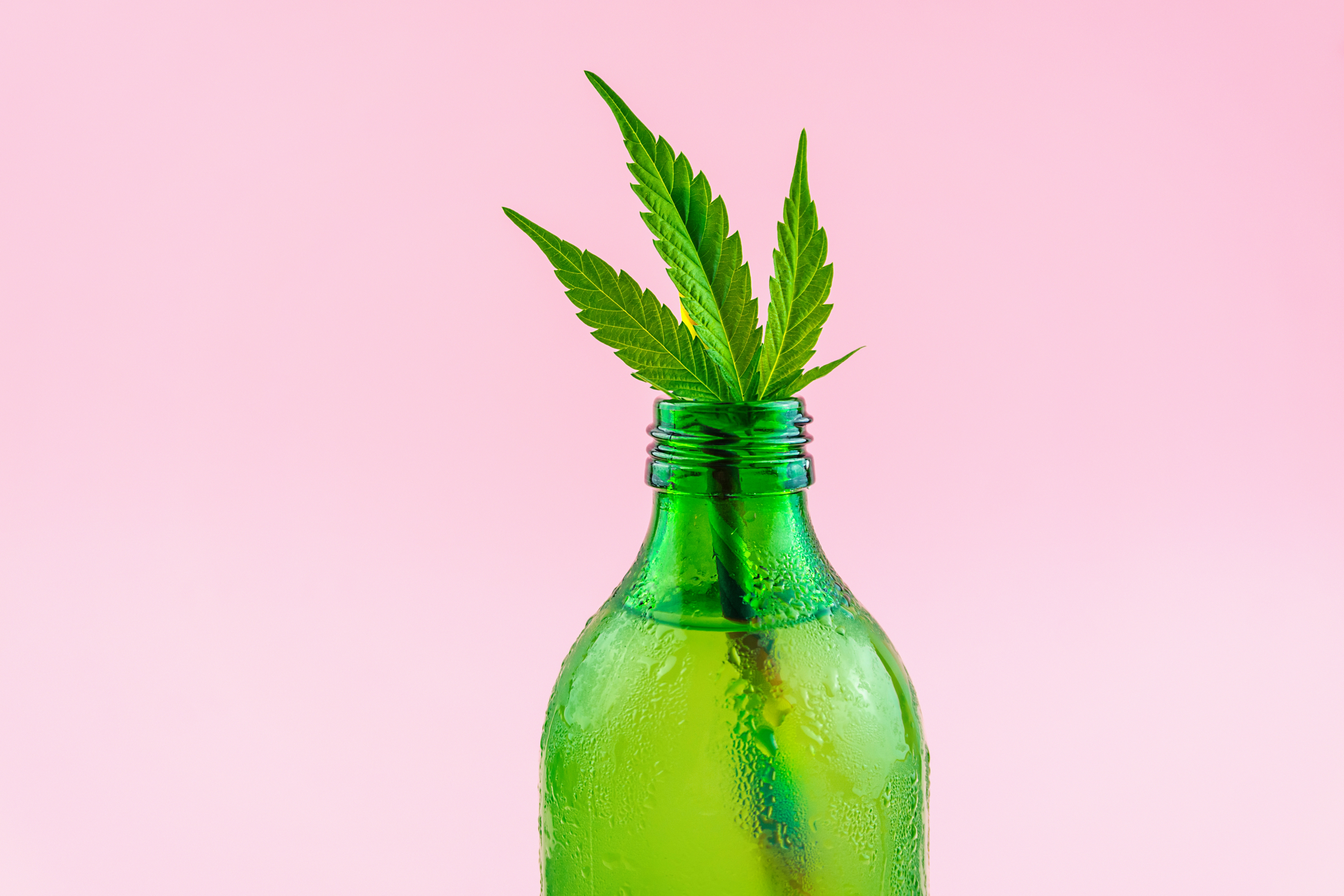 Best CBD Drinks: The Top CBD-Infused Beverages To Buy In 2021 | Herb