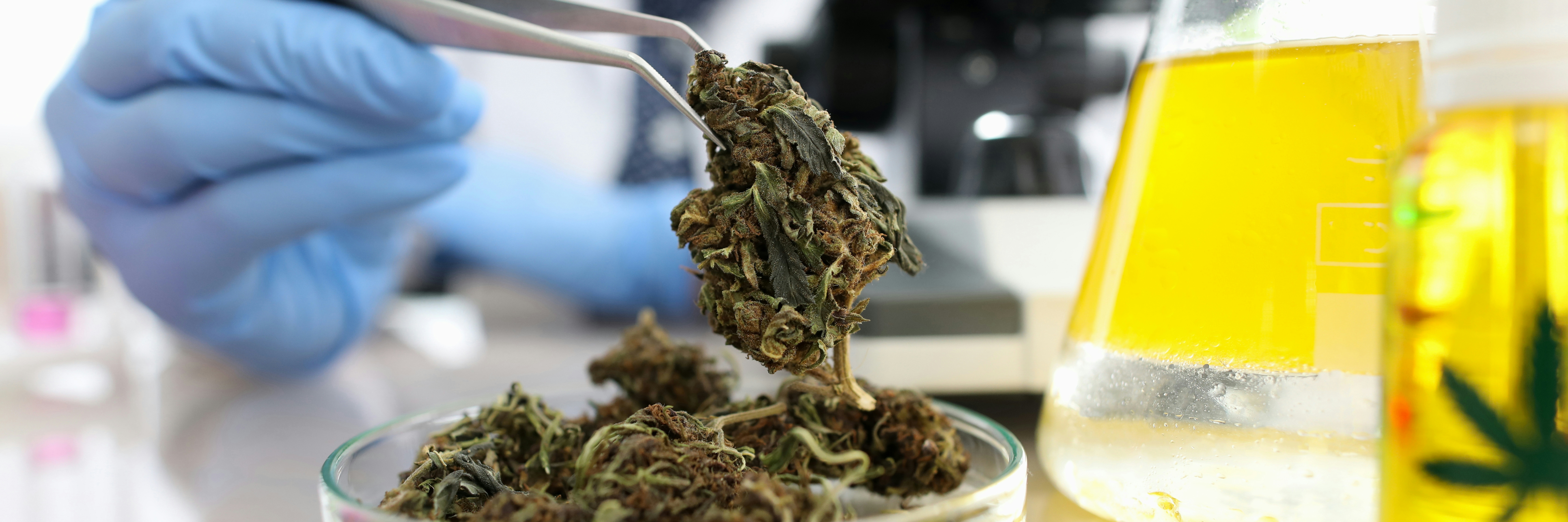 How to Buy Affordable CBD Without Getting Scammed