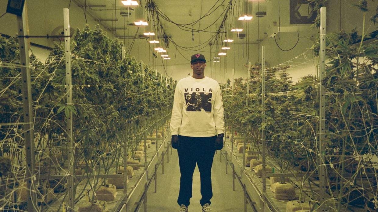 Al Harrington Launches Incubator To Make Millions For Black Cannabis Entrepreneurs