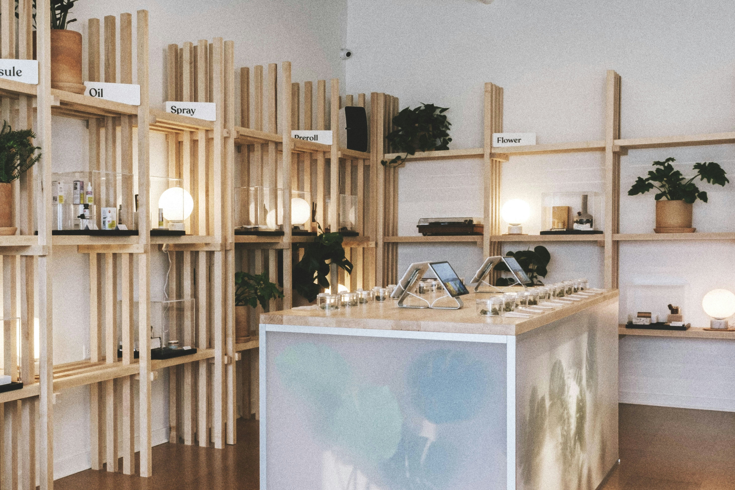 Weed for Wandering Travelers: Hobo in Toronto