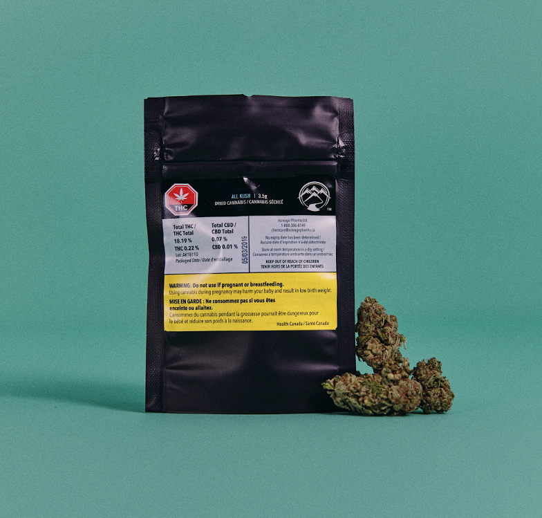 Weed for Wandering Travelers: Hobo in Toronto