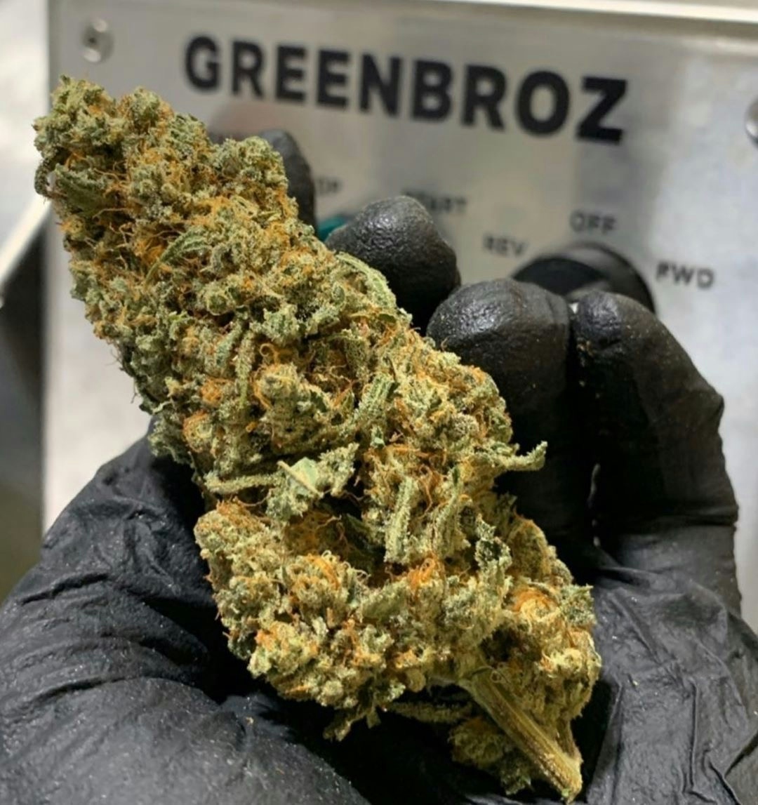 How to Automate Your Cannabis Harvest Without Damaging Your Flower