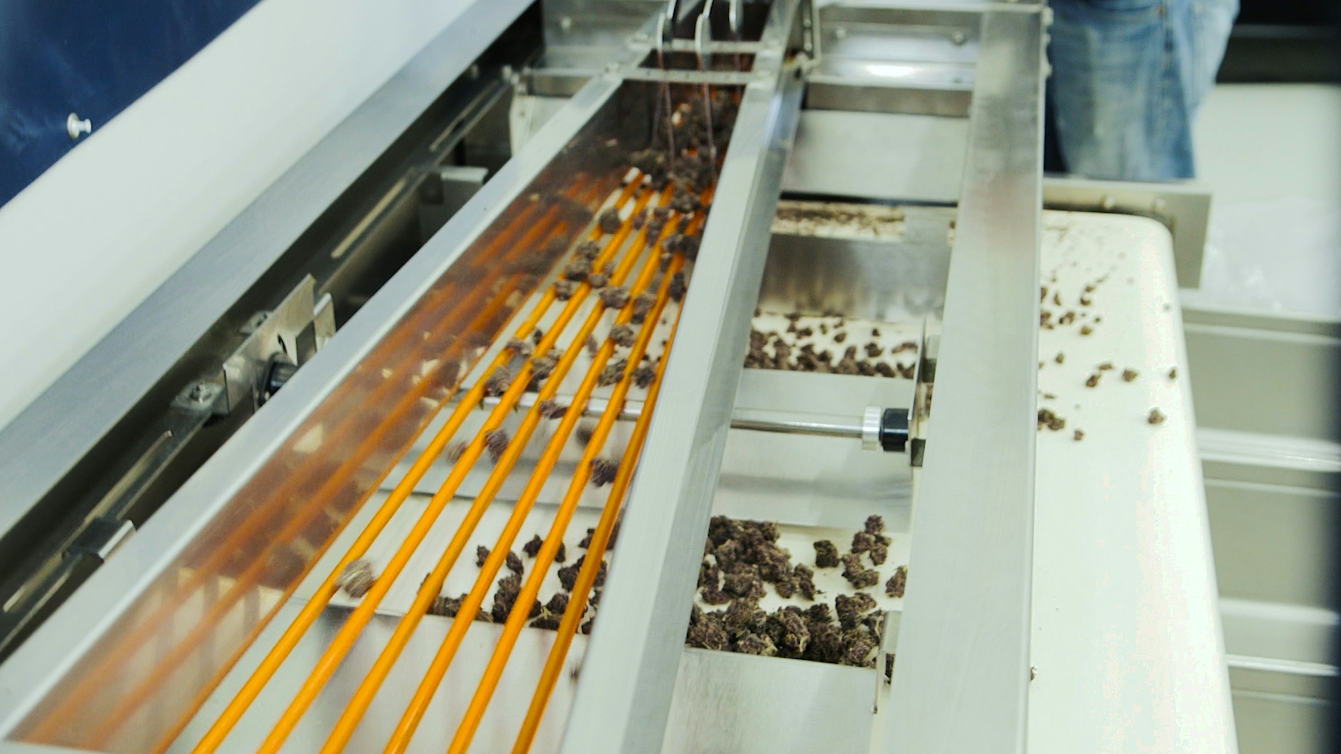 How to Automate Your Cannabis Harvest Without Damaging Your Flower