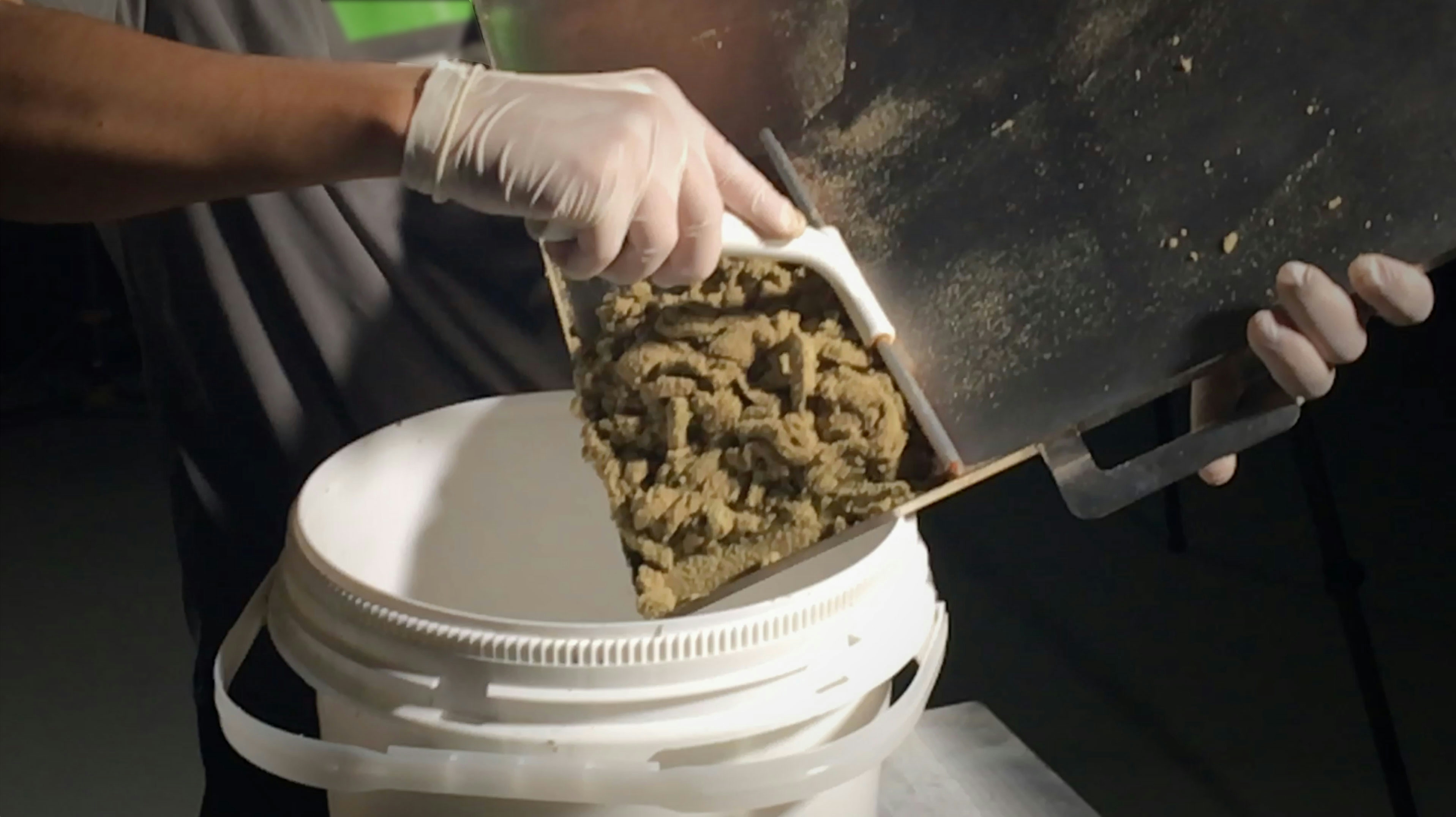 How to Automate Your Cannabis Harvest Without Damaging Your Flower