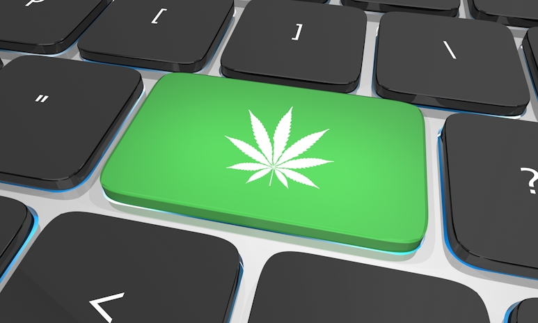 15 Best Online Head Shops 2025
