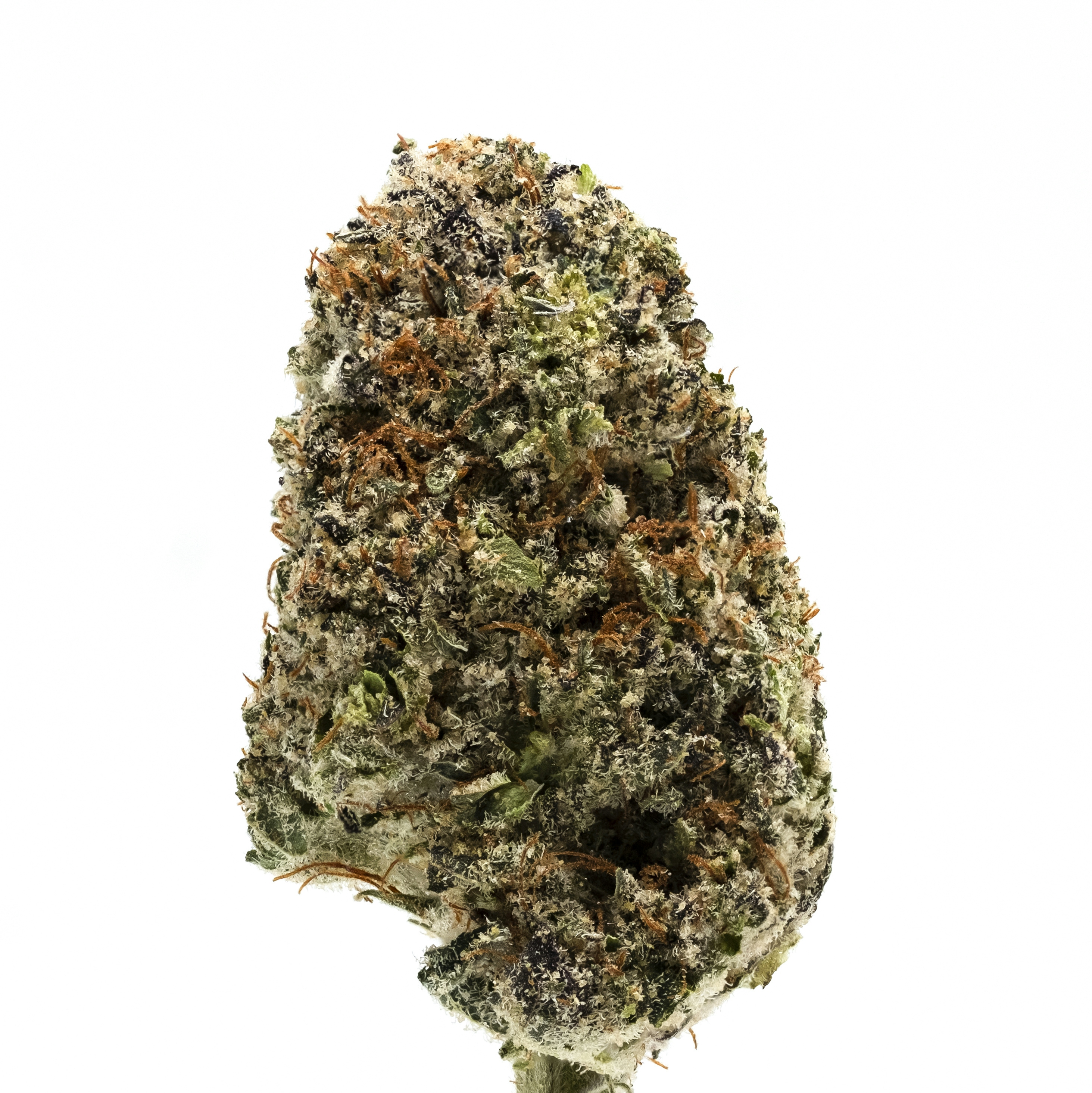 Best Indica Strains