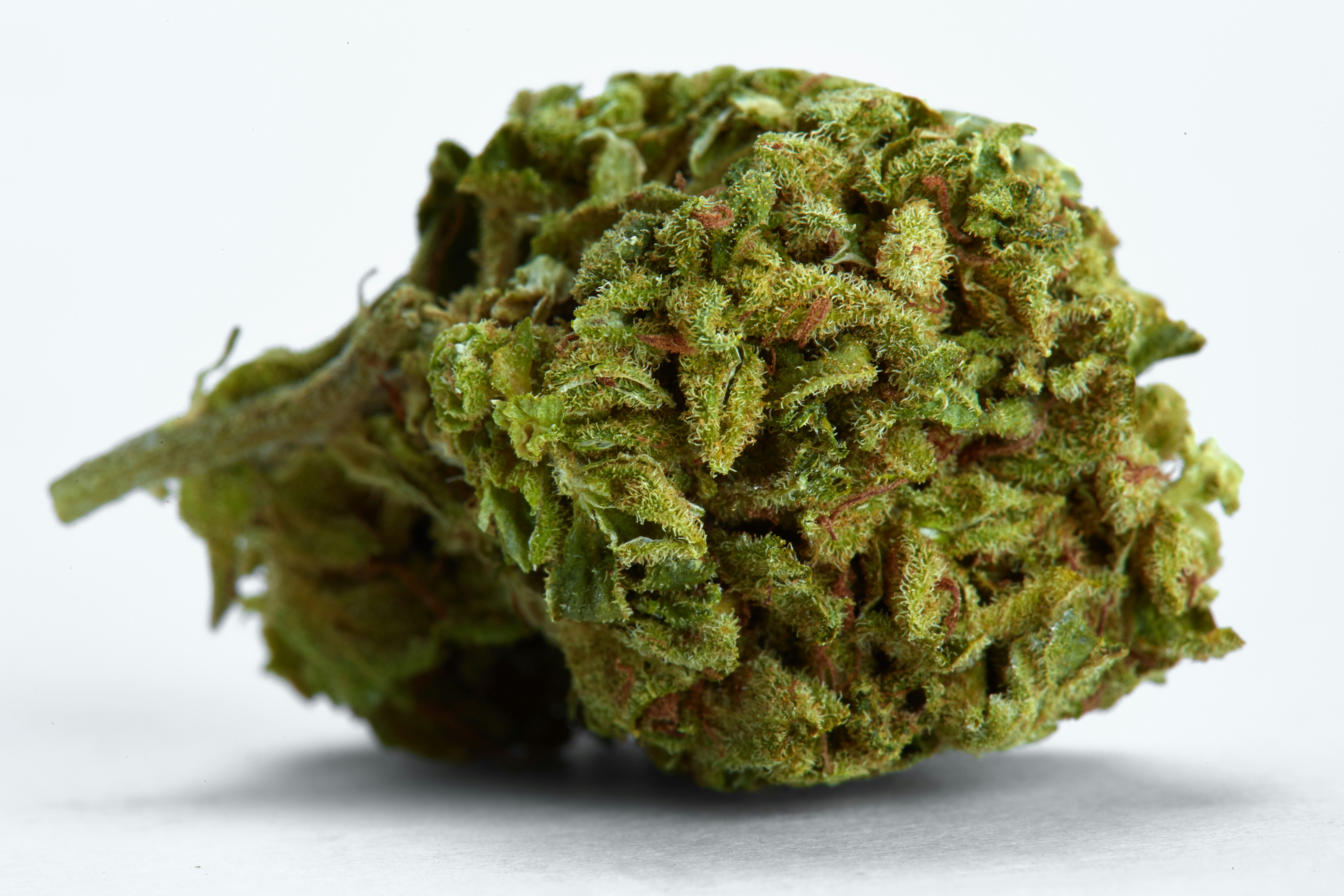Best Indica Strains