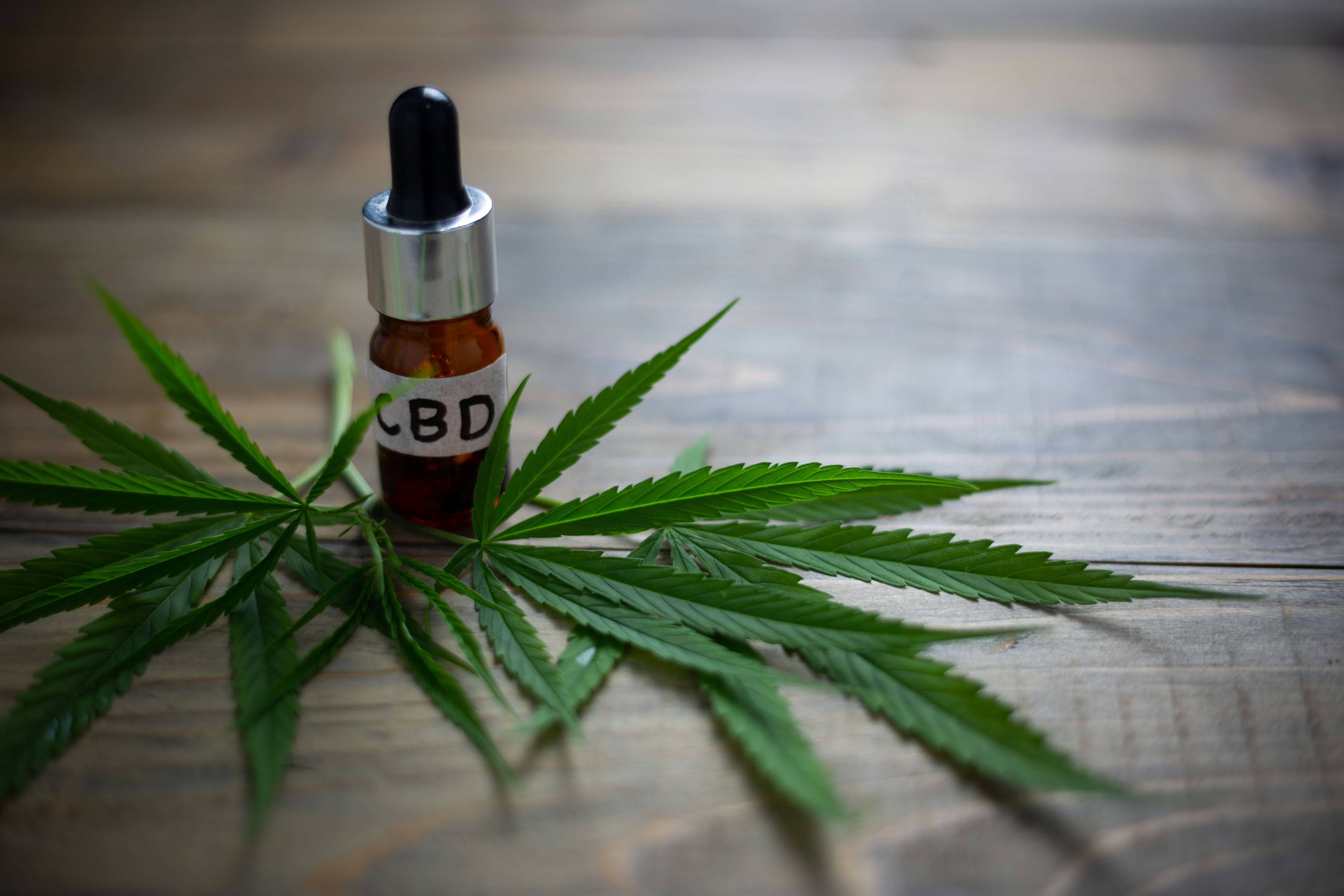 The 5 Best CBD Hemp Strains On The Market