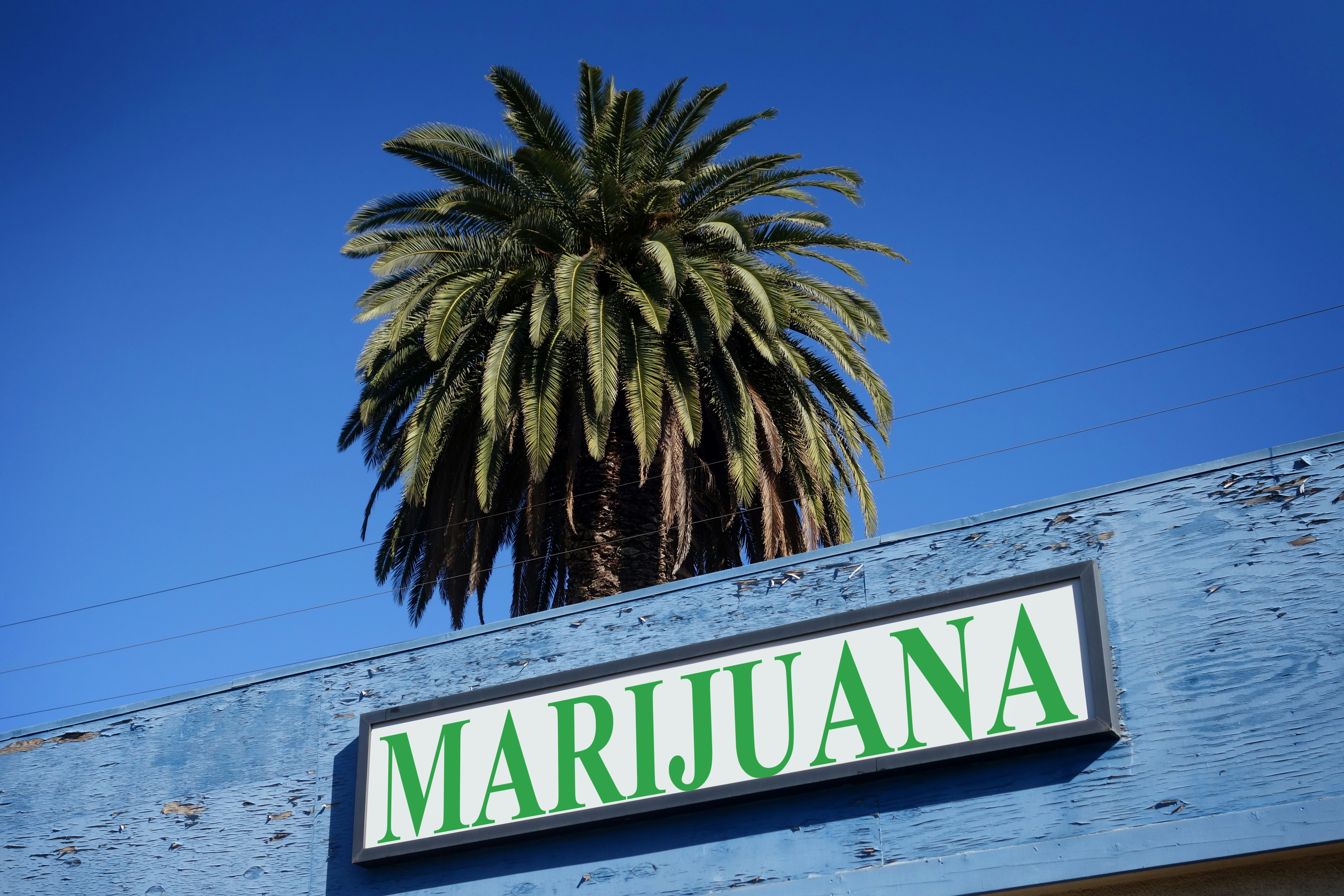 Where to Buy Medical Marijuana – Florida