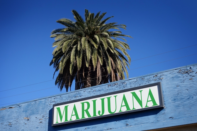 Where to Buy Medical Marijuana – Florida