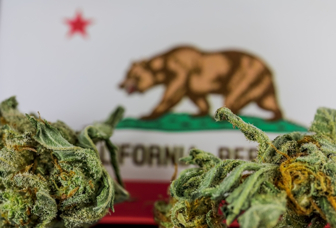 California Legalized Cannabis, But What Happened To Criminal Records?