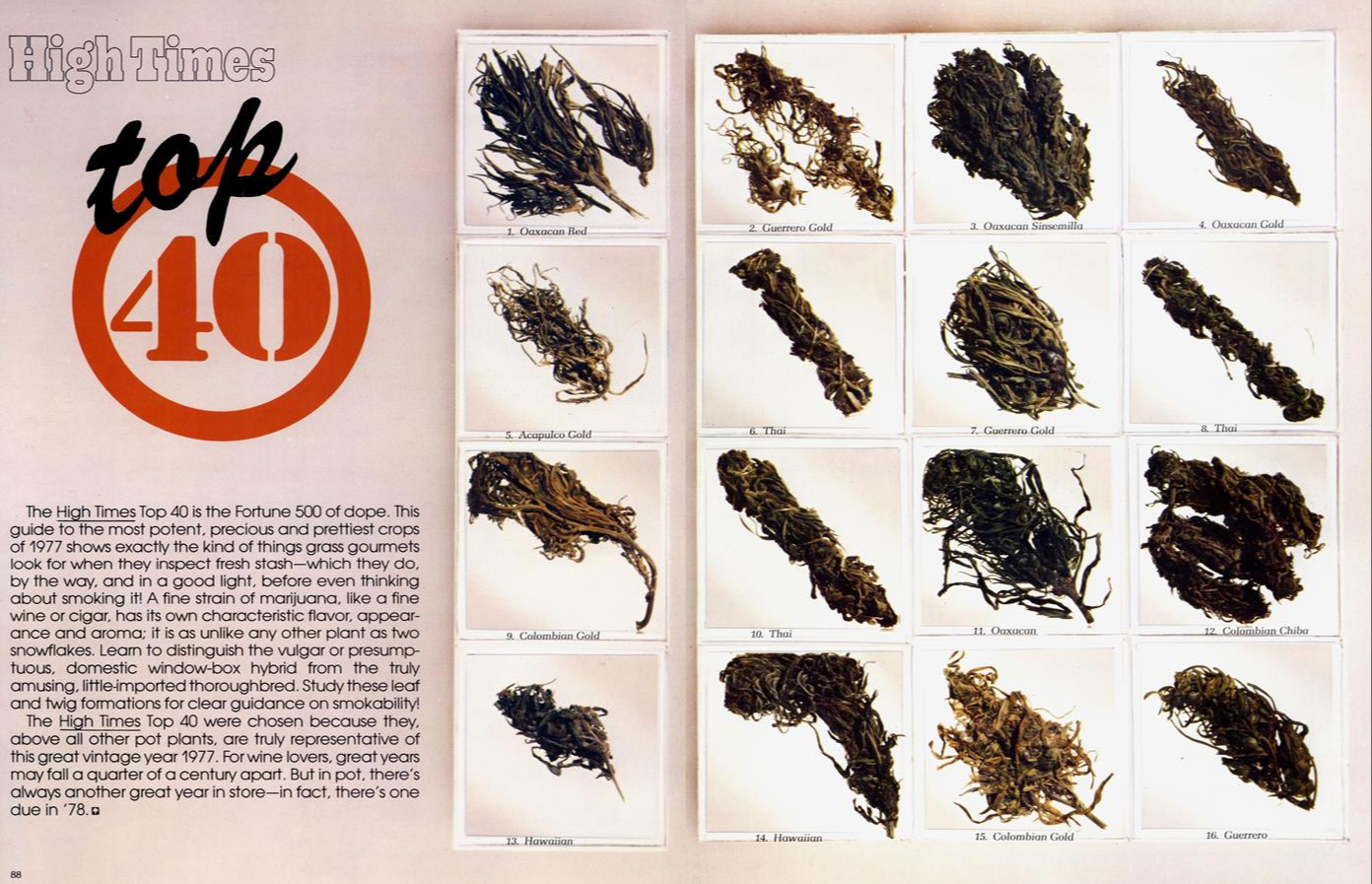 Smoke and Mirrors: Eulogy for the new way of weed