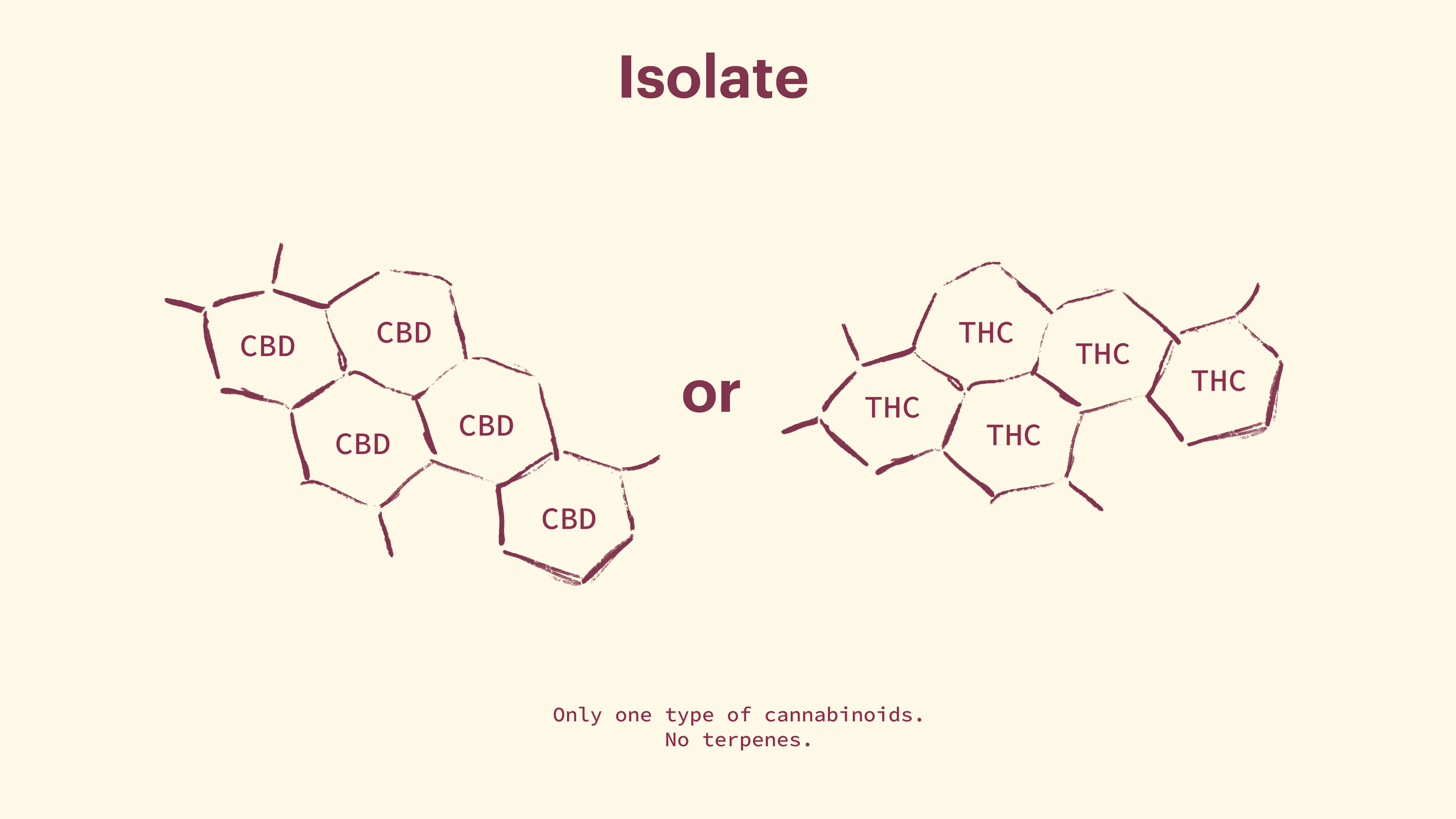 Cannabis Distillate vs. Full Spectrum: Everything You Need To Know