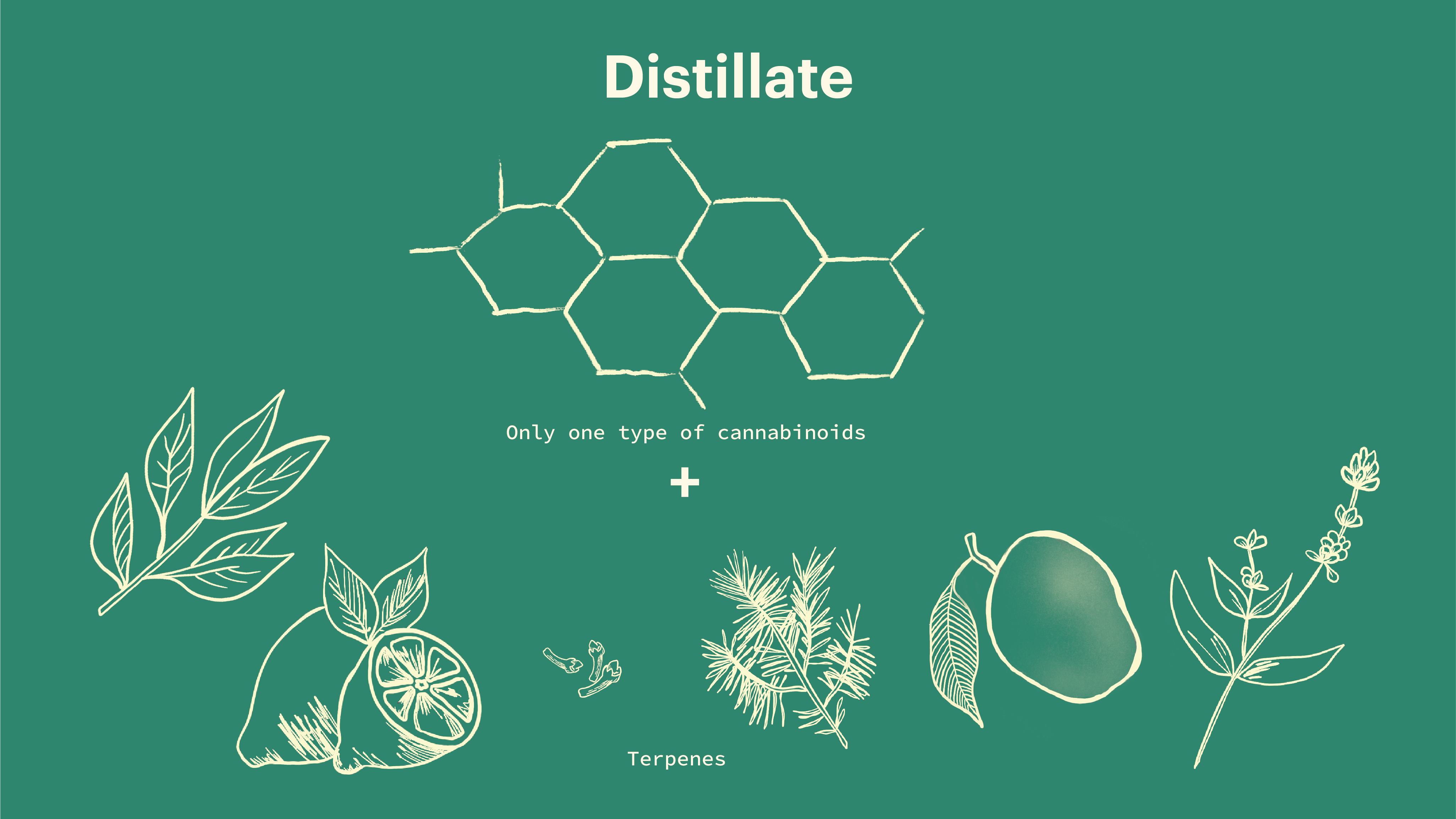 Cannabis Distillate Vs. Full Spectrum: Everything You Need To Know