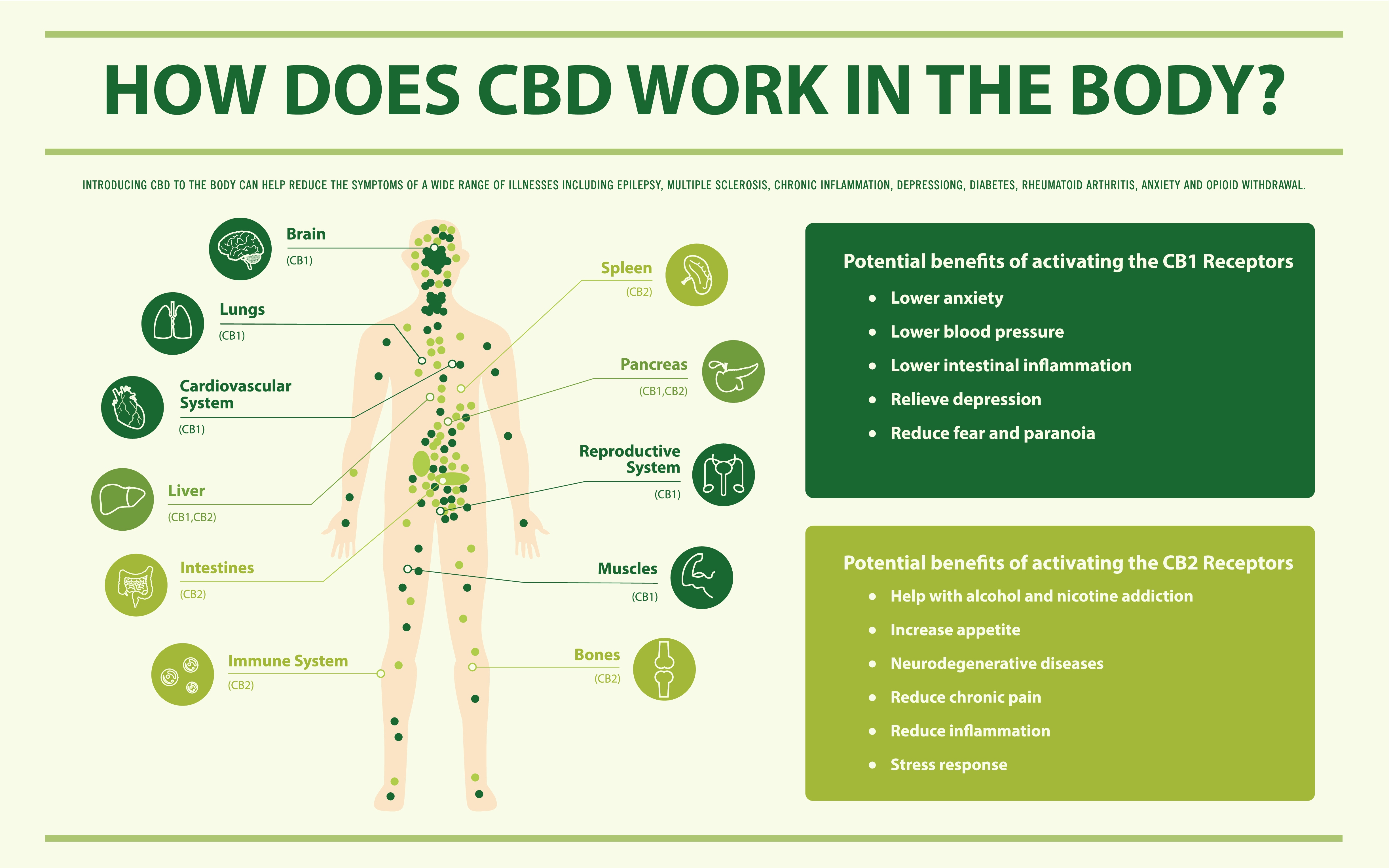 8 Health Benefits Of CBD