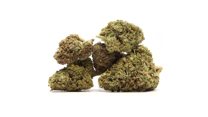 Explore The 10 Strongest CBD Flower Strains To Look Out For