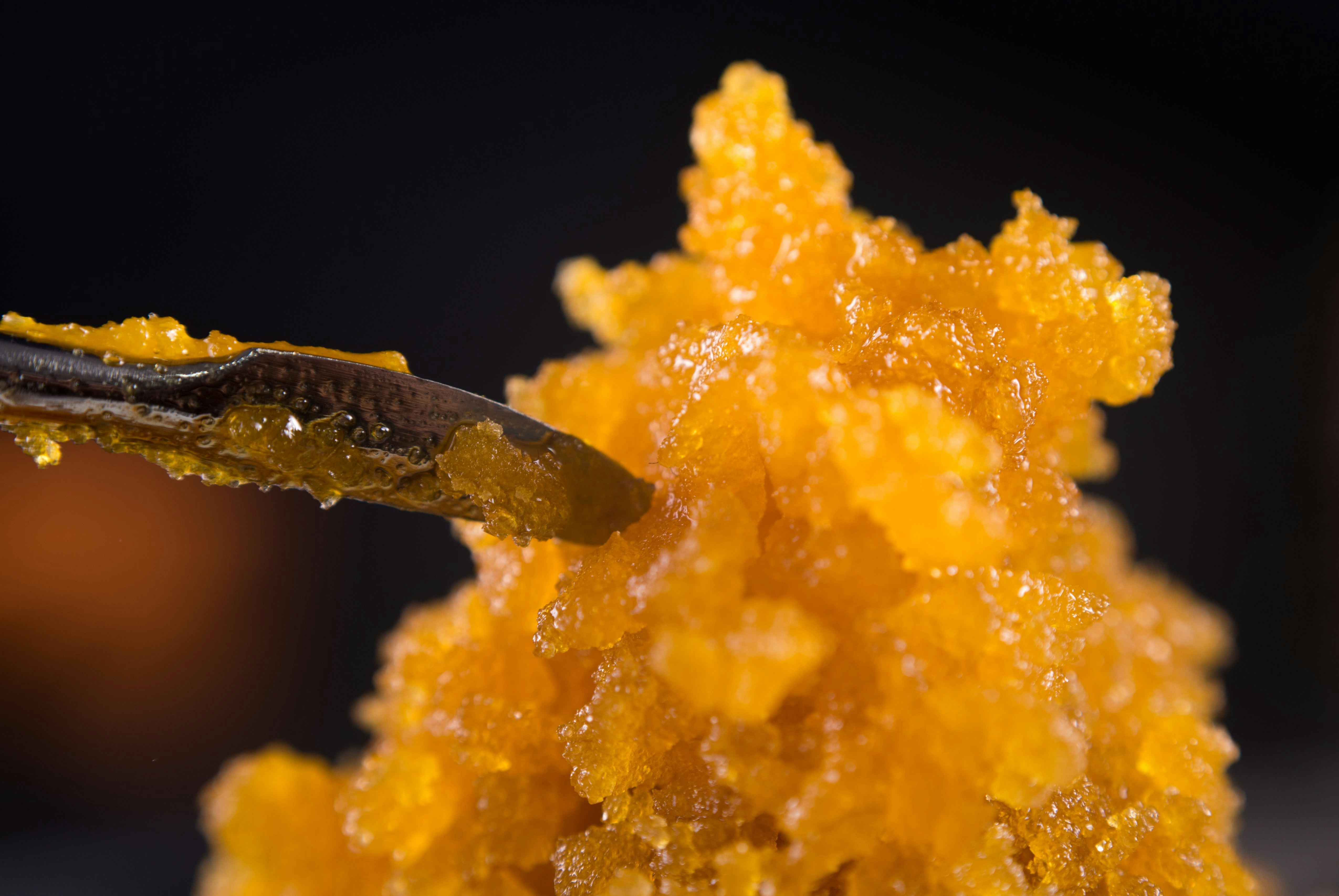 vaping dry herb vs concentrate