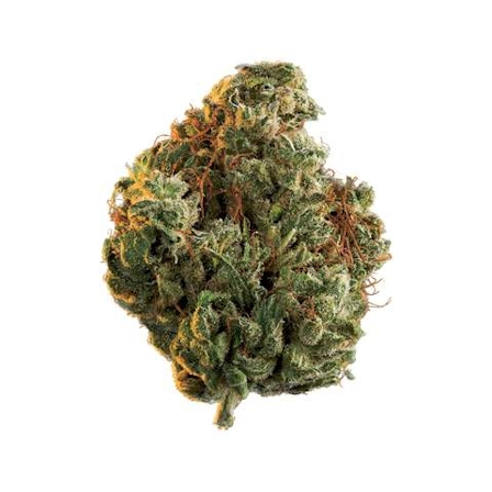Best Strains For Focus And Productivity In 2025