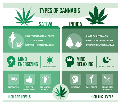 Buy Sativa Strains Online