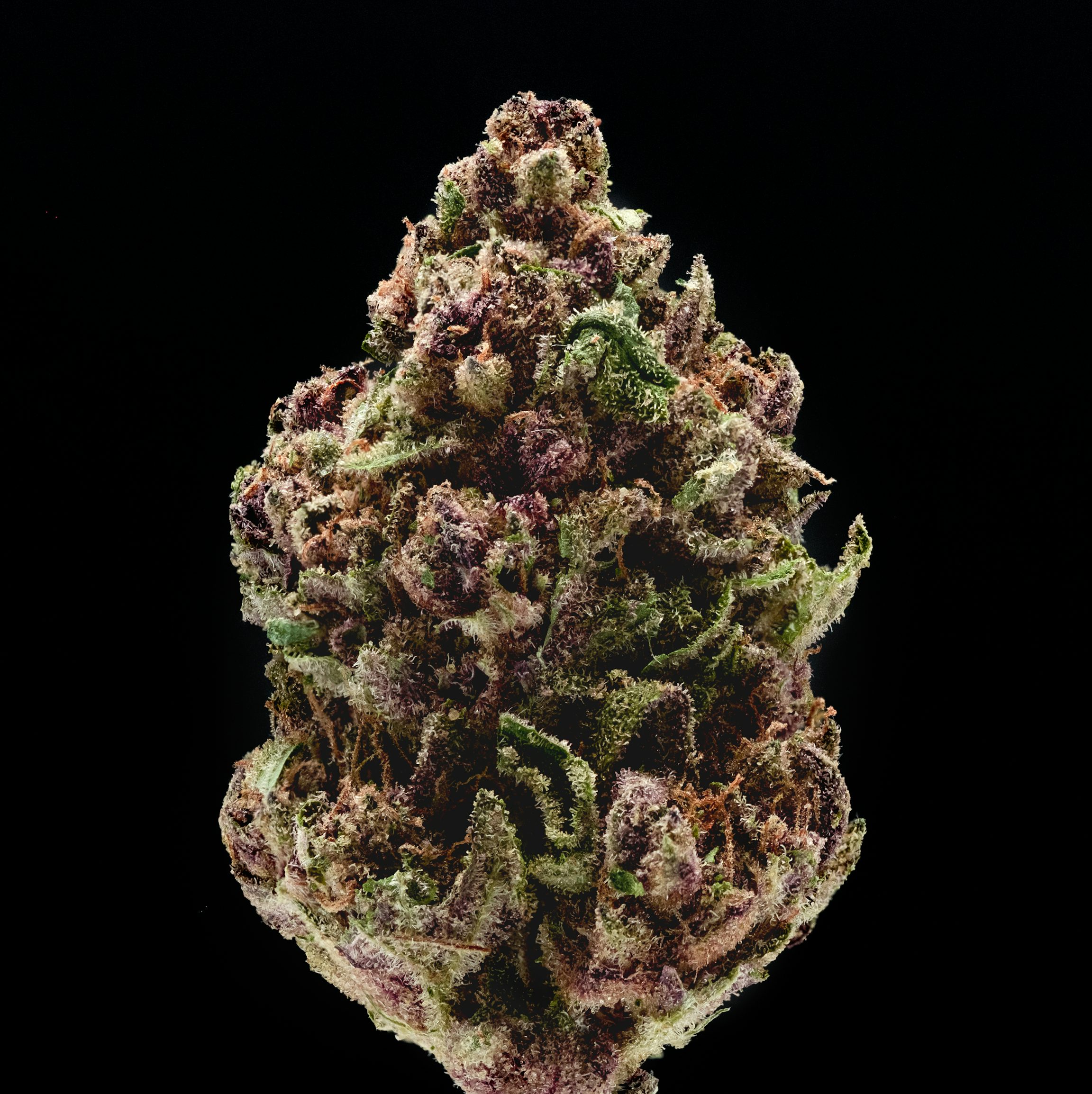 The 8 Best Indica Strains for Sleep and Insomnia Herb