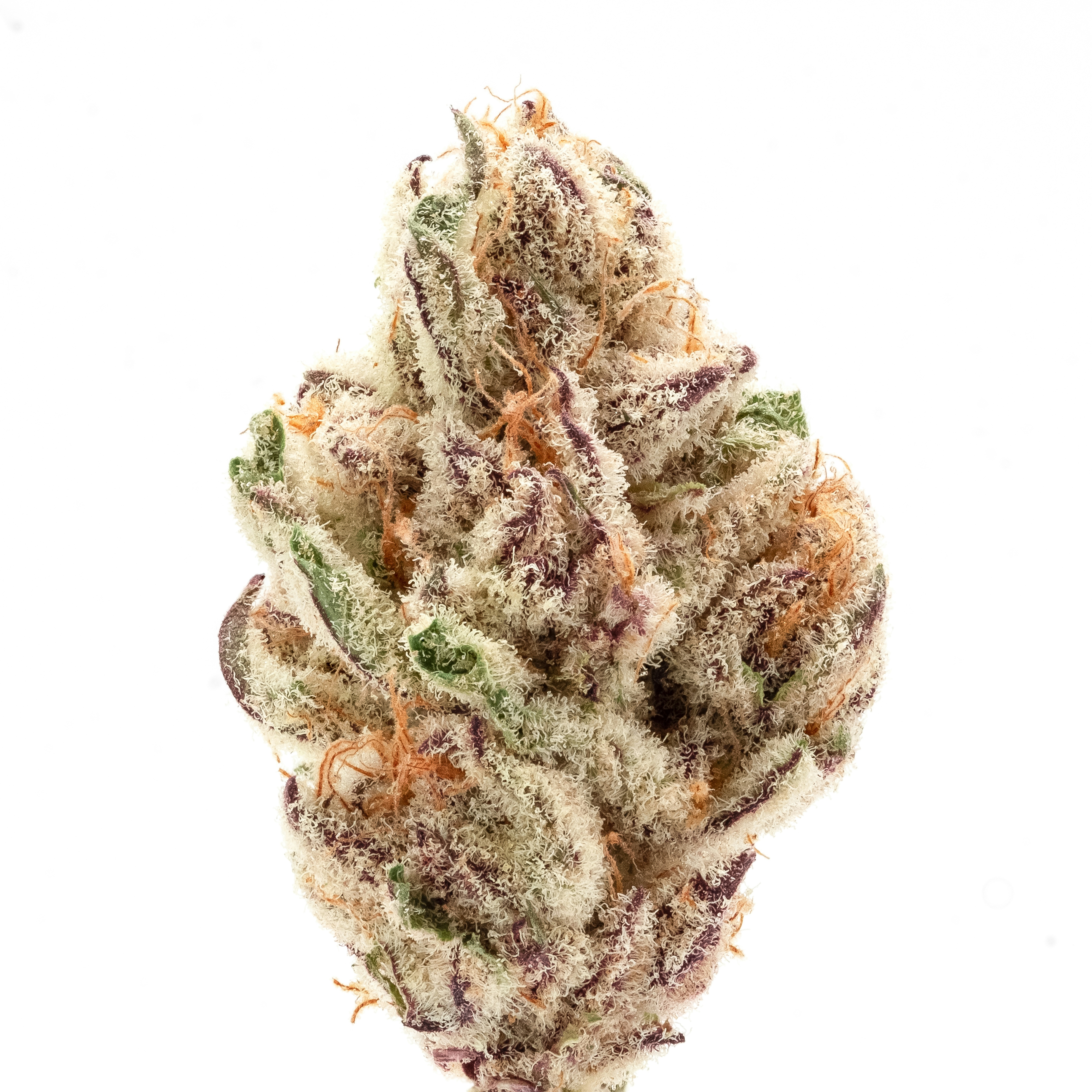 The Strongest Indica Strains On Earth Right Now Herb