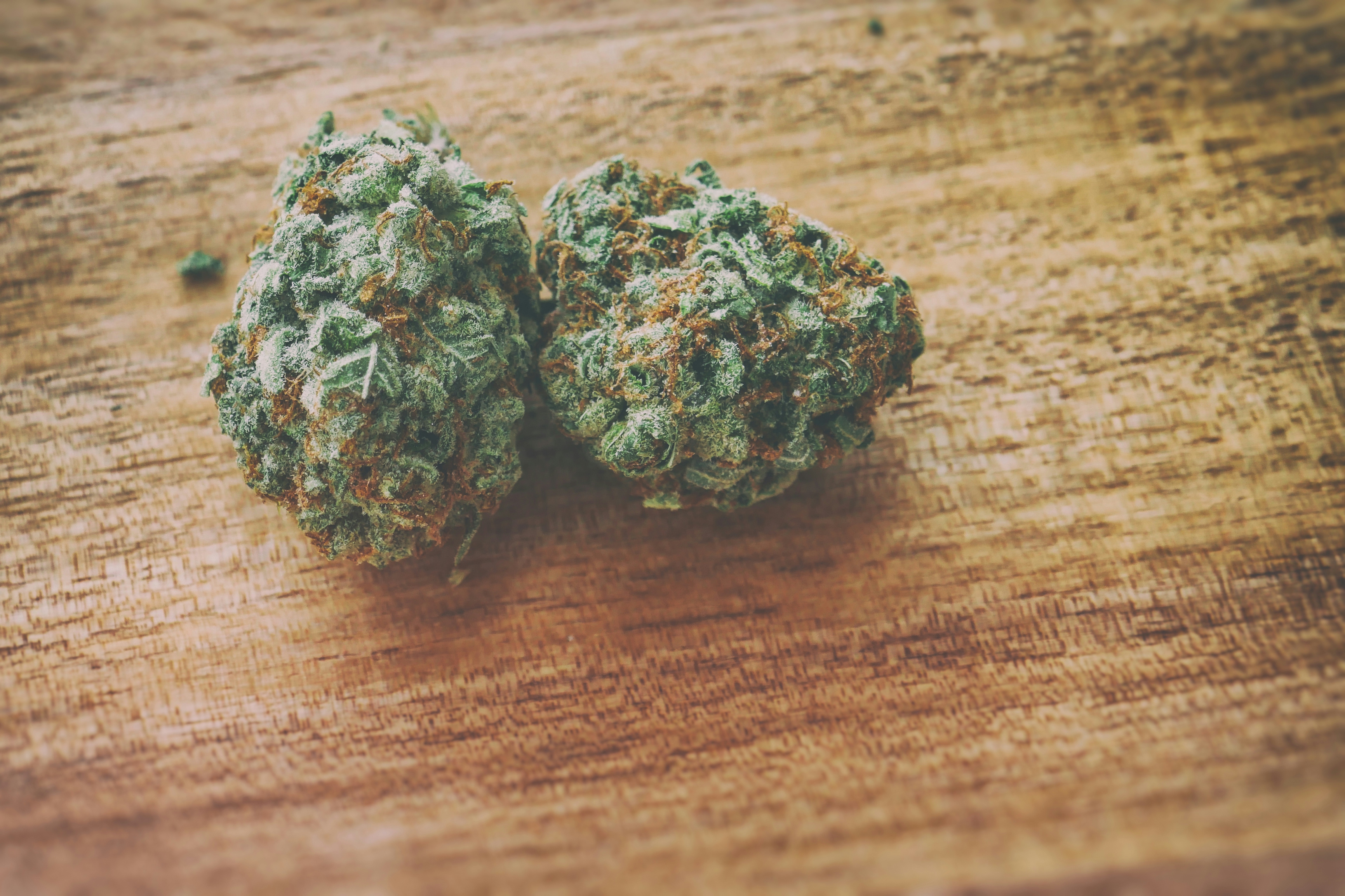 Amnesia Haze