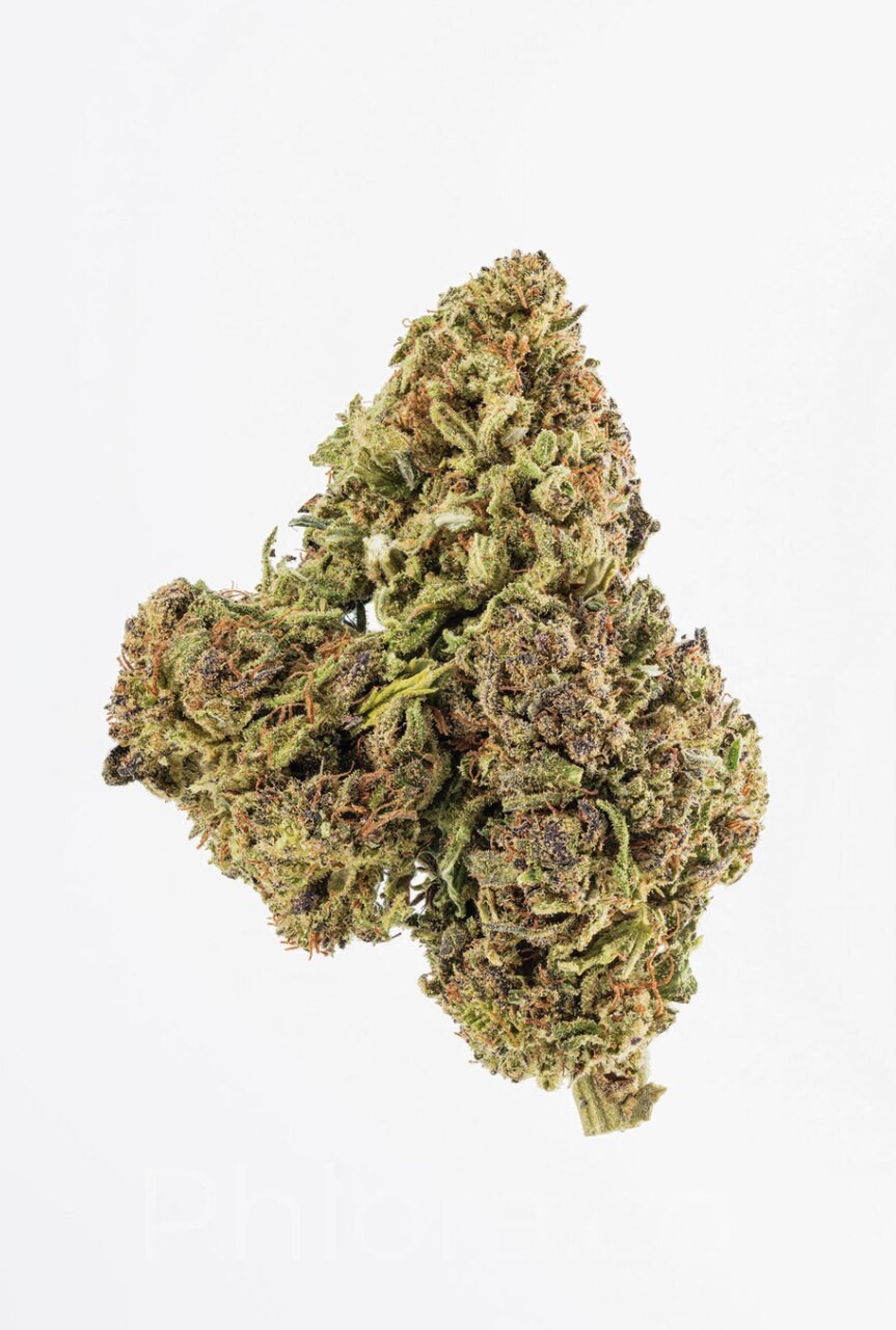 12 Best Haze Strains You Need To Try
