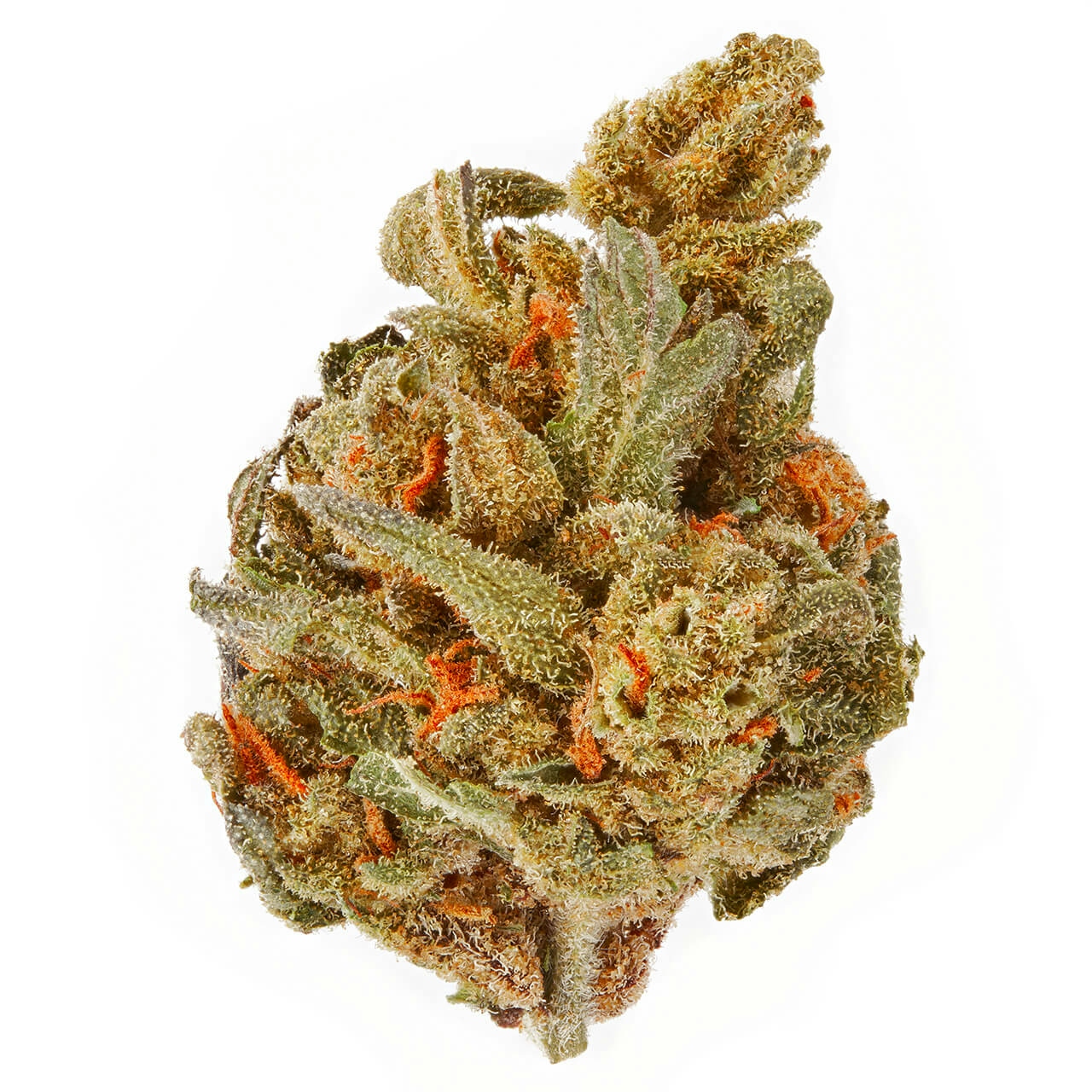 12 Best Haze Strains You Need To Try