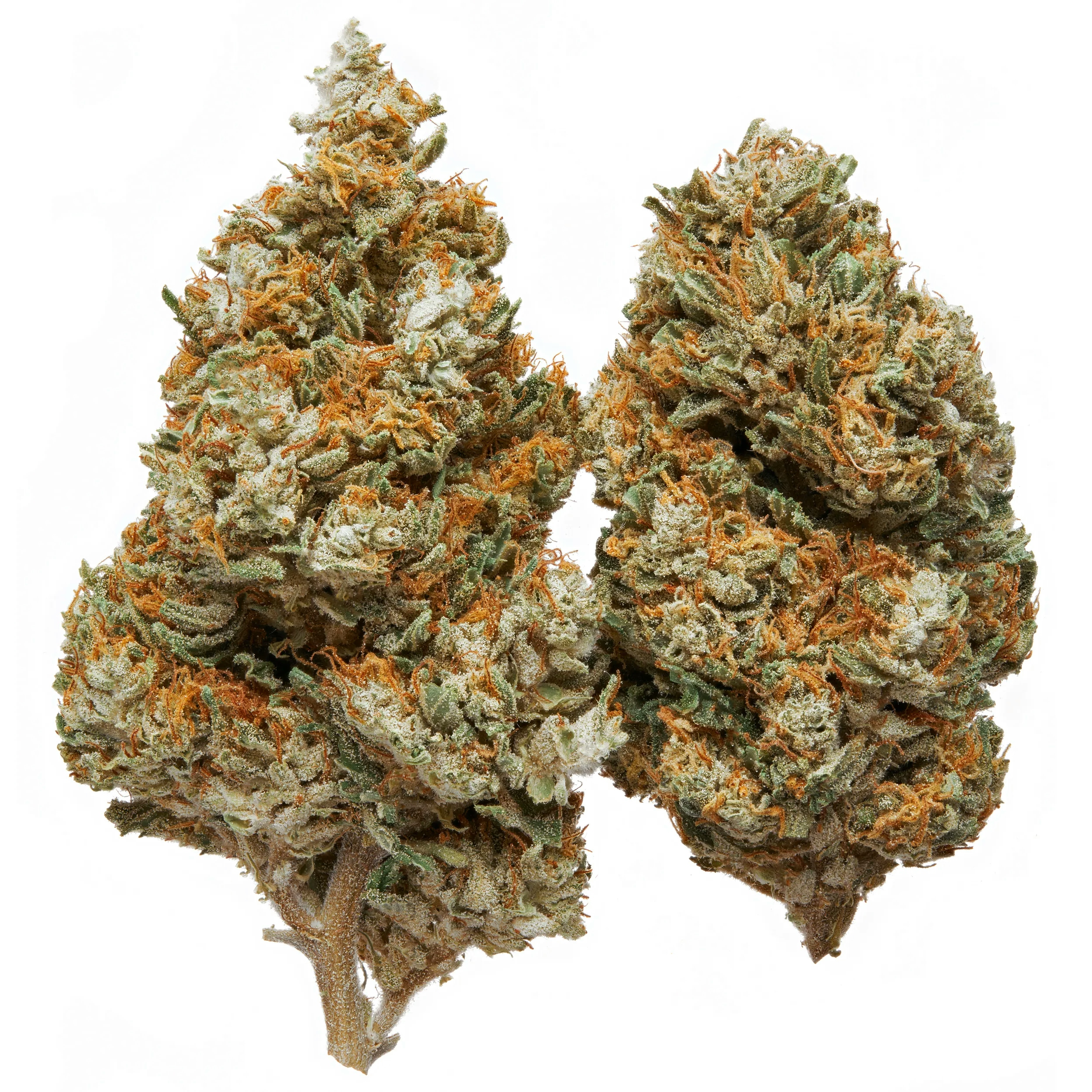 The Top 10 Best Cannabis Strains For Migraines