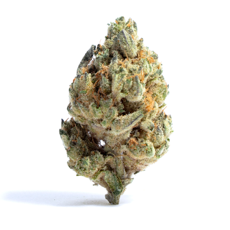 The Top 10 Best Cannabis Strains For Migraines