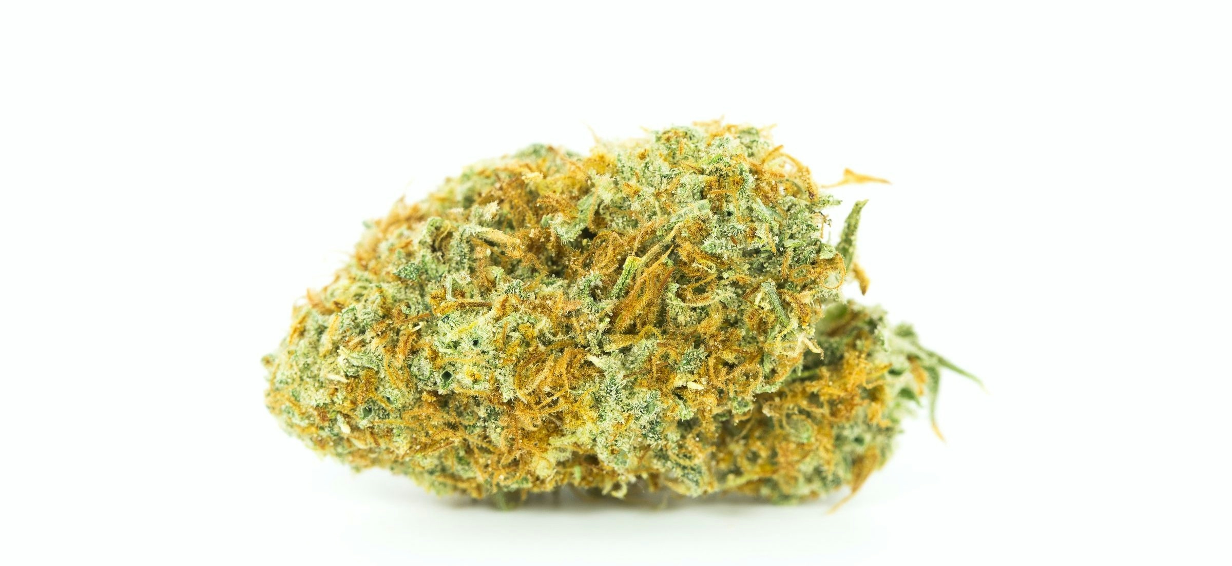 12 Best Haze Strains You Need To Try